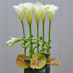 Arum Lily and Luck Bamboo Deluxe