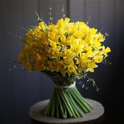Narcissi  &amp; Daffodils