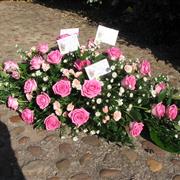 Rose and Carnation coffin spray