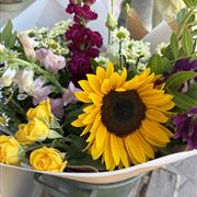 Summer Bunch