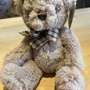 Junior bear
