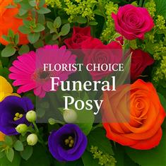 Florist's Choice Posy Arrangement