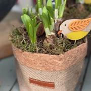 Easter arrangement with chocolates &amp; card